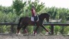 Equestrian Center of Macedonia @ Thessaloniki 2012