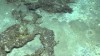 Thessaloniki Mud Volcano - Dive Highlights 2012